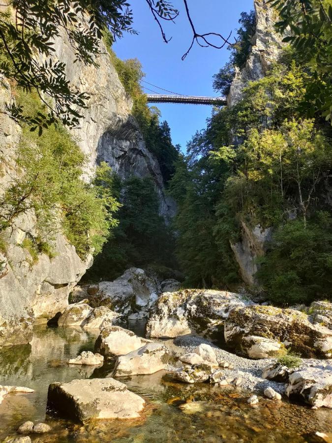 Entre Lacs Et Montagnes Cusy ภายนอก รูปภาพ